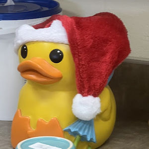 Meet your Posher, Bethany